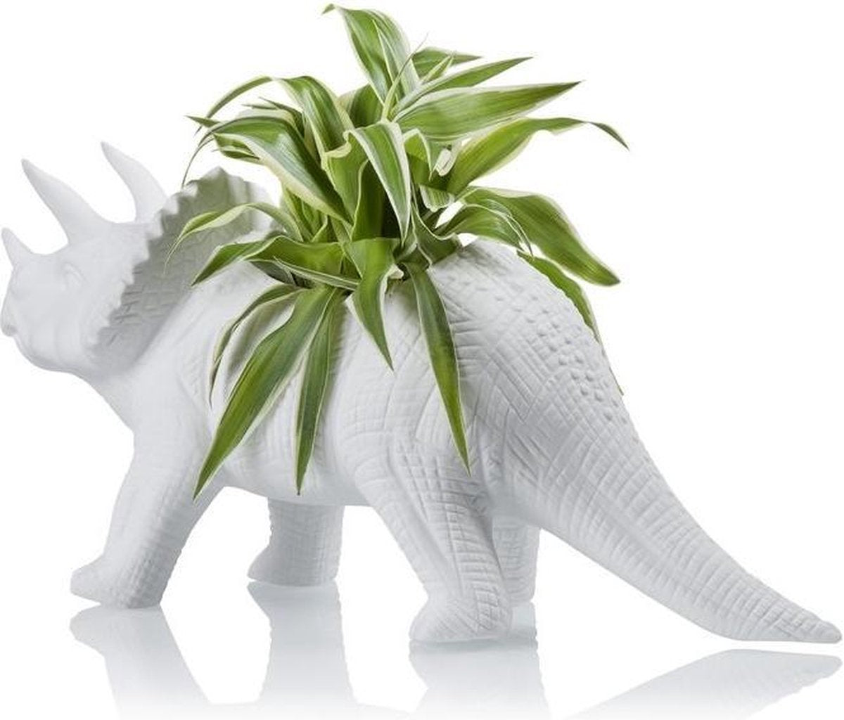 Pot de fleur Dinosaure Tricérapot Bitten – Cache-pot original