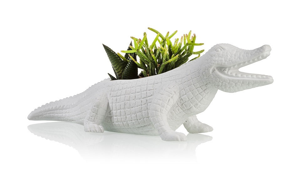 pot de fleur crocodile bitten BTT1954 4897038626786