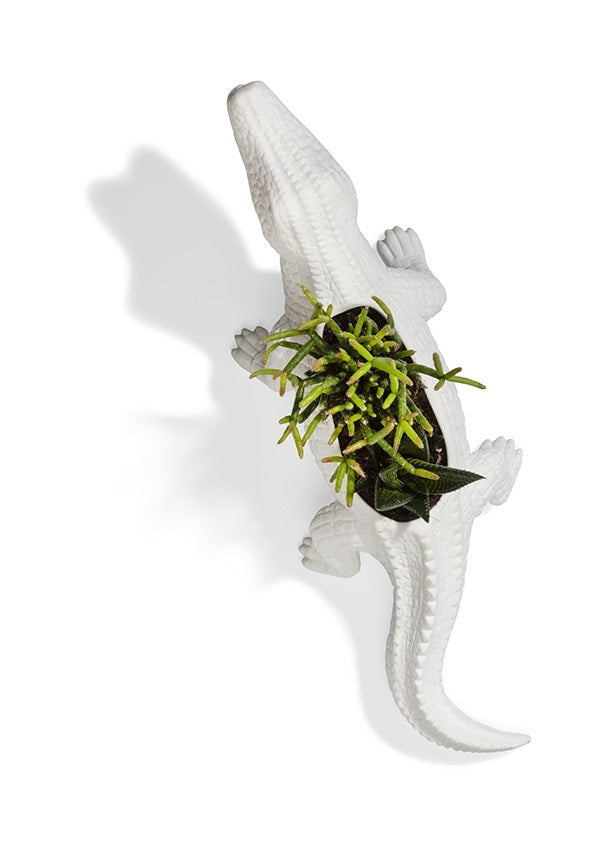 Pot de fleur Crocodile Bitten – Cache-pot original