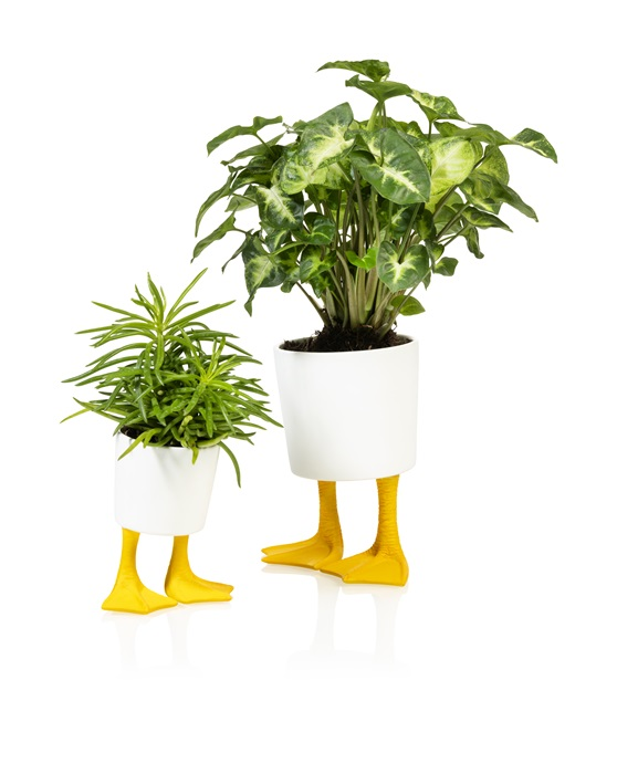 Pot de fleur Pattes de Patos Bitten – Cache-pot original
