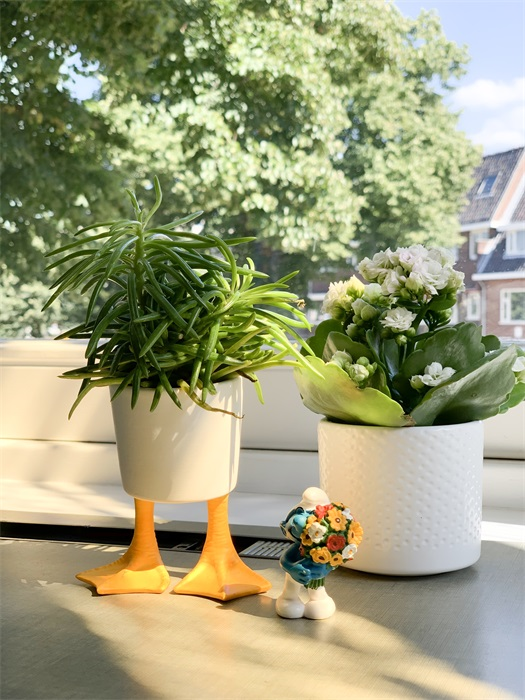Pot de fleur Pattes de Patos Bitten – Cache-pot original