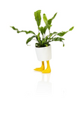 Pot de fleur Pattes de Patos Bitten – Cache-pot original