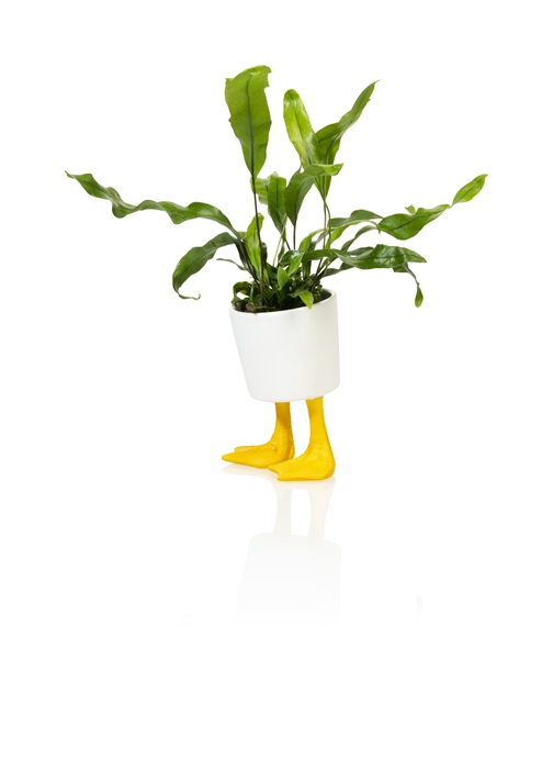 Pot de fleur Pattes de Canards Bitten – Cache-pot original