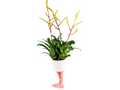 Pot de fleur Pattes de Flamant Rose Bitten – Cache-pot original