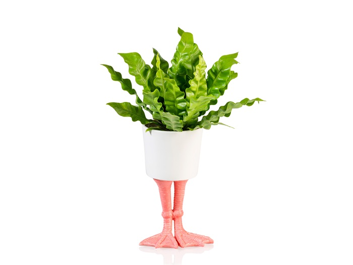 Pot de fleur Pattes de Flamant Rose Bitten – Cache-pot original