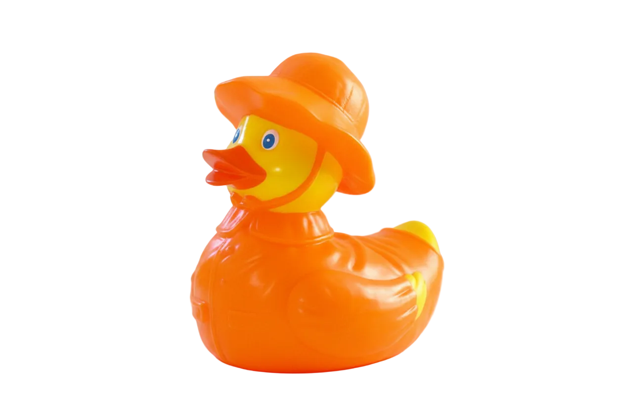 Canard Temps de Pluie