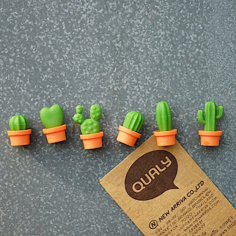magnets cactus cacnet qualy 