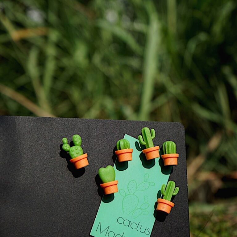 magnets cactus cacnet qualy 