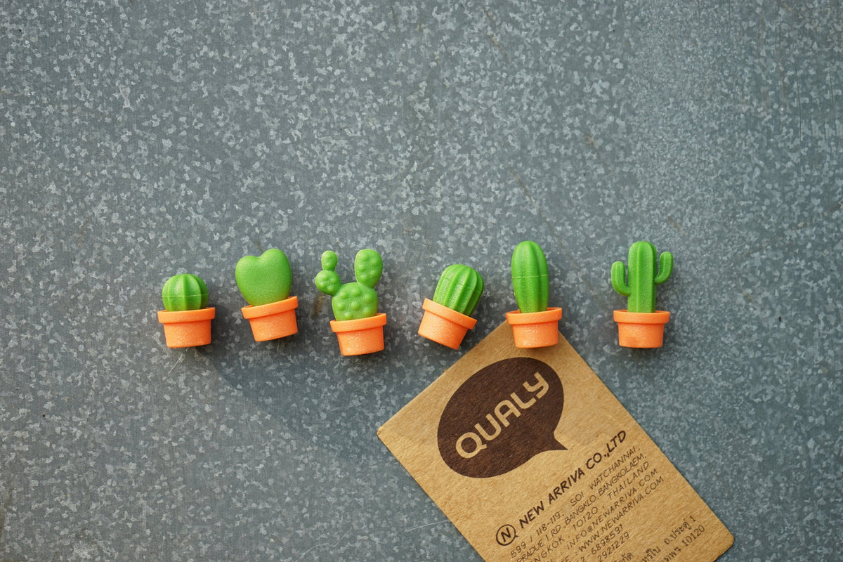 Magnets Cactus Qualy – vue produit 3