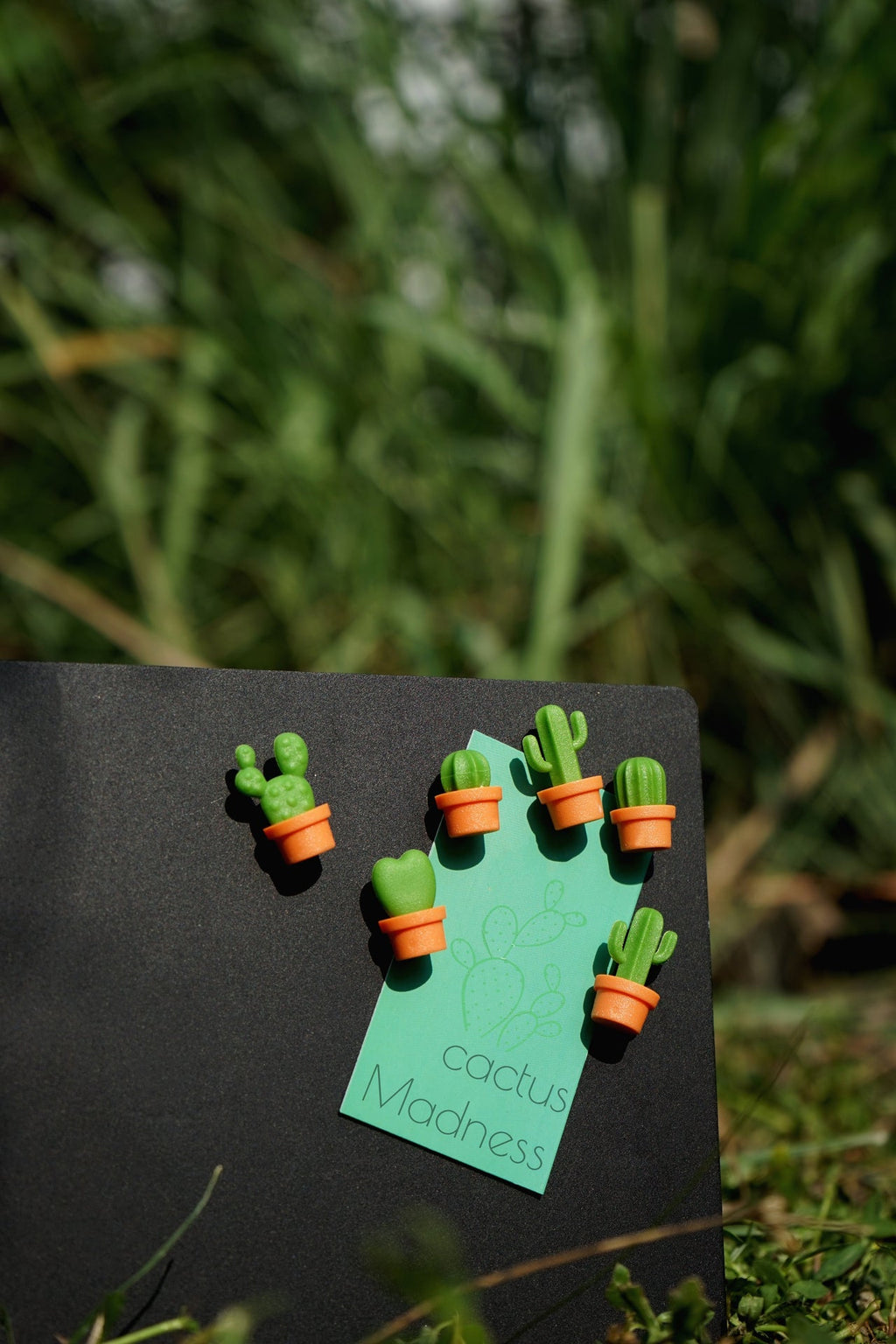 Magnets Cactus Qualy – vue produit 13