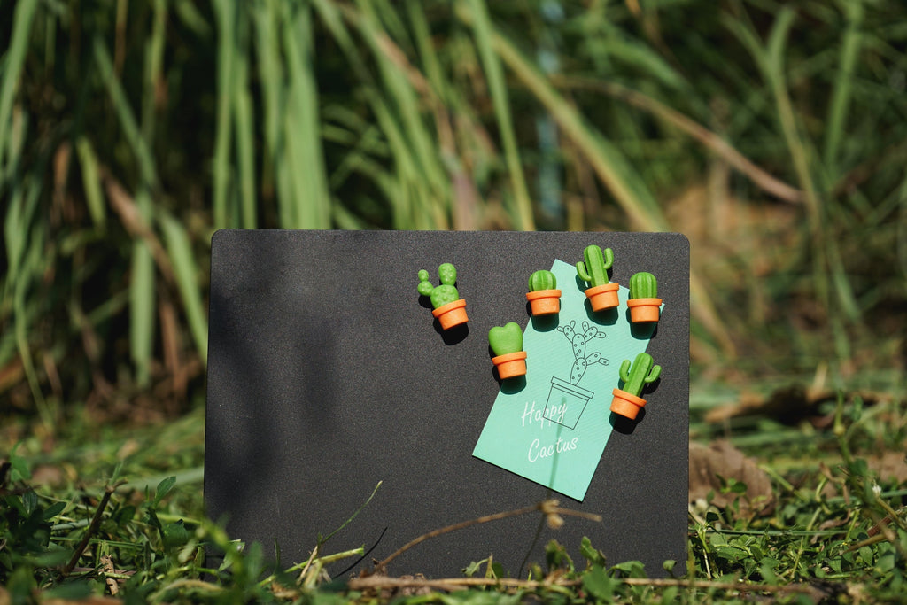 Magnets Cactus Qualy – vue produit 2
