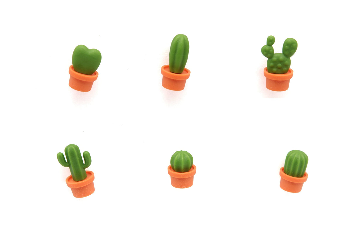 Magnets Cactus Qualy – vue produit 9