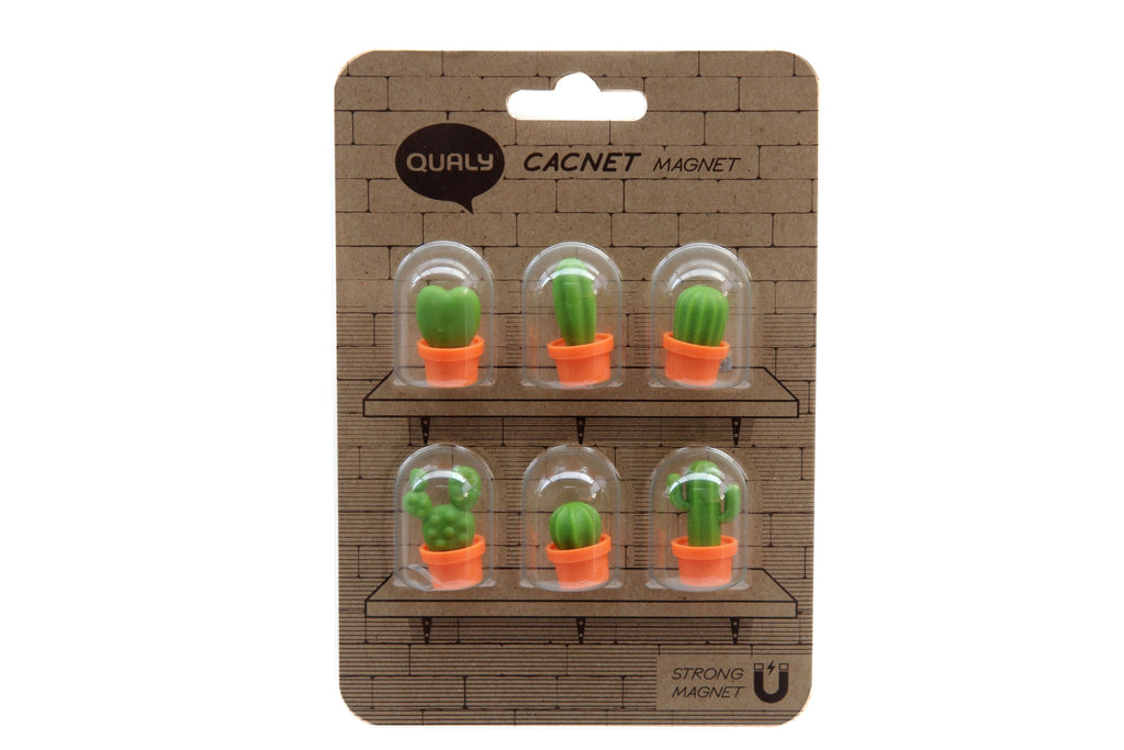 Magnets Cactus Qualy – vue produit 11