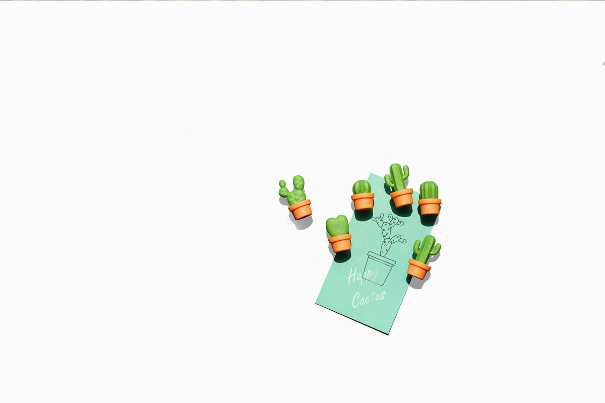 Magnets Cactus Qualy – vue produit 10