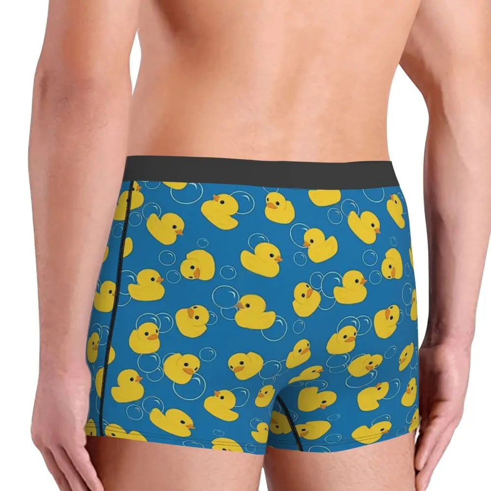 boxer патета bulles 86829388