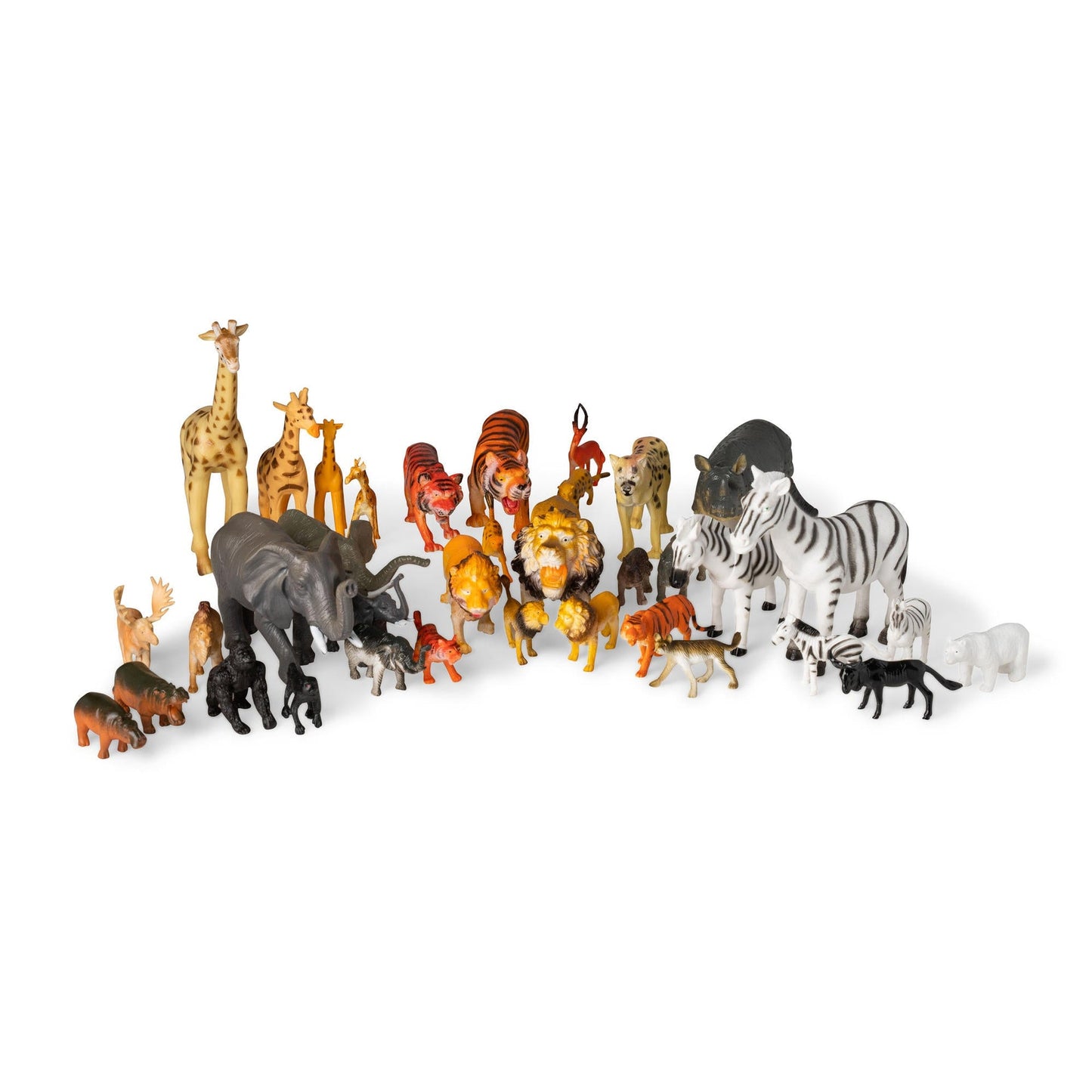 ANIMAUX SAUVAGES (BOÎTE DE 36)