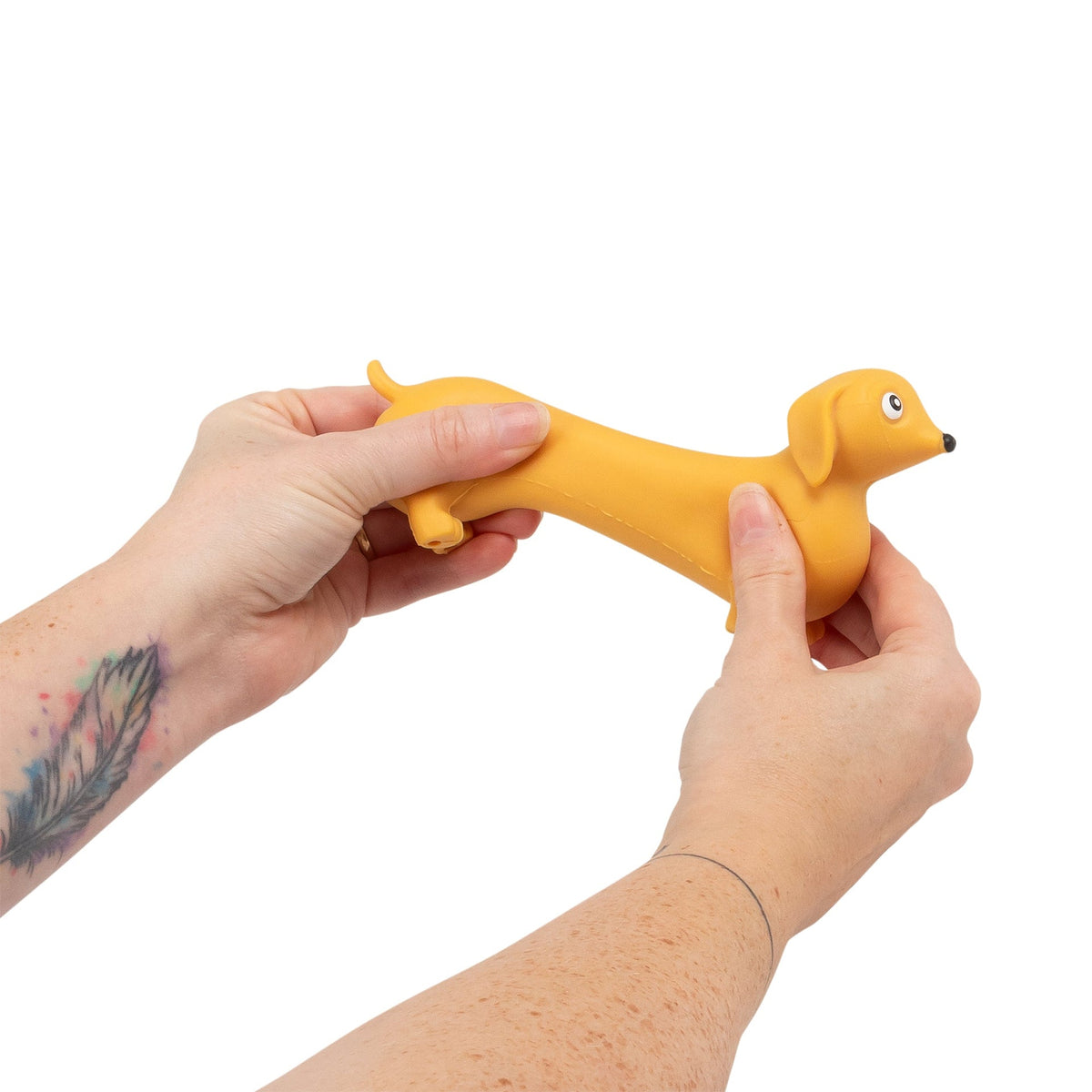CHIOT SAUCISSIER EXTENSIBLE