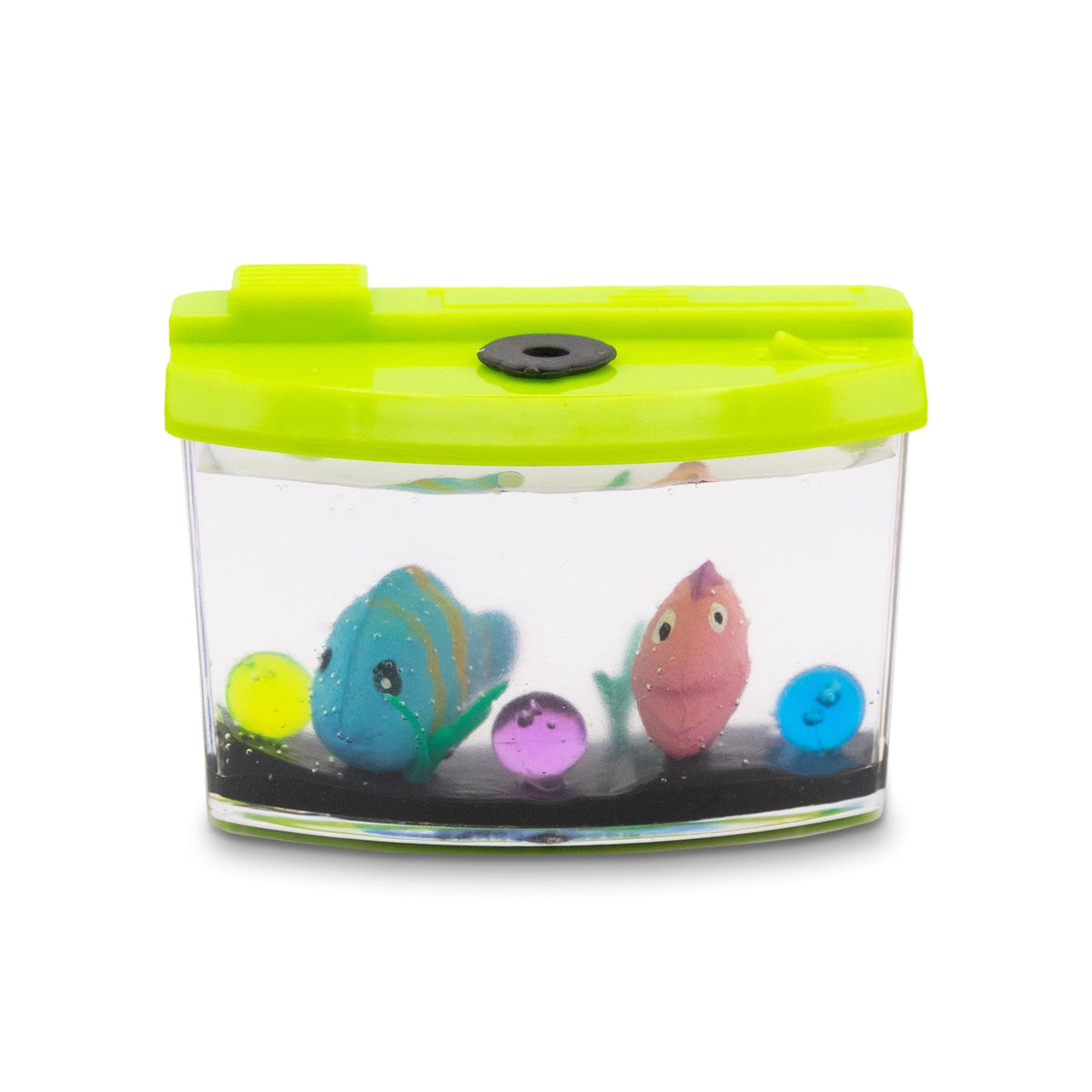AQUARIUM MAGIQUE DE CROISSANCE