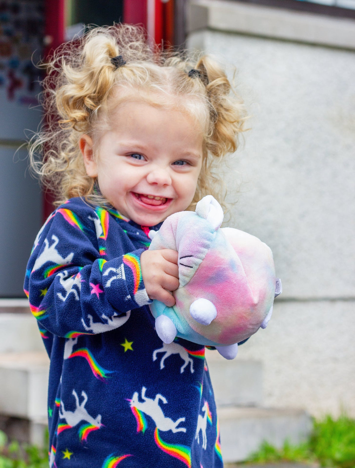 Peluche Chat et Chien – Modèle Assorti