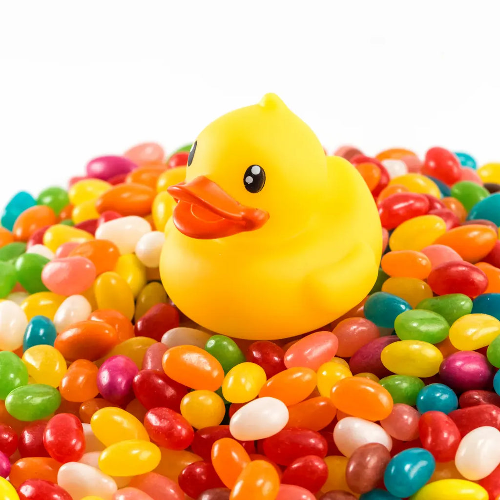canard flottant jaune b duck 