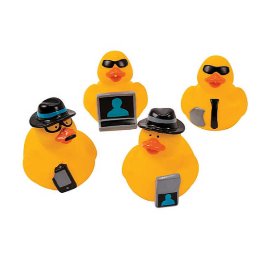mini canards espions lg import 