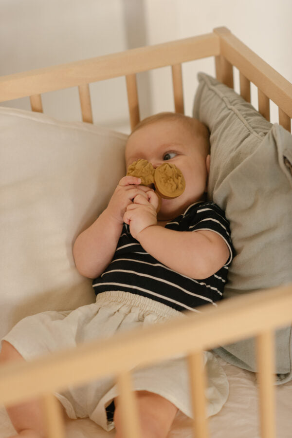 Produit Nutty La Noix Accessoire