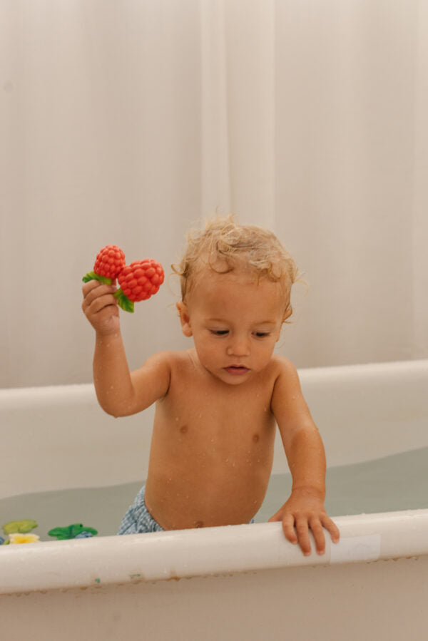 Produit Valery La Framboise Poster Déco