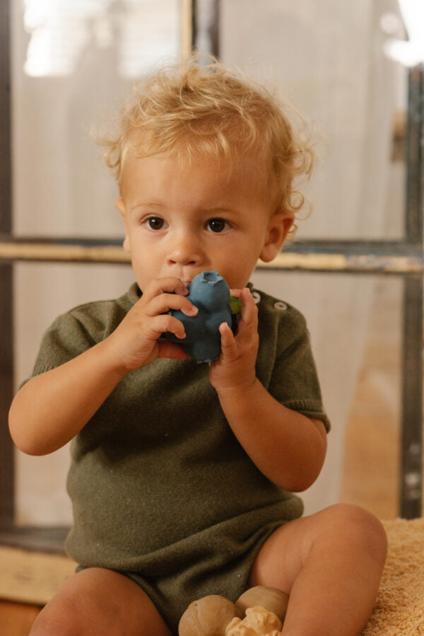 Produit Jerry La Myrtille Maison