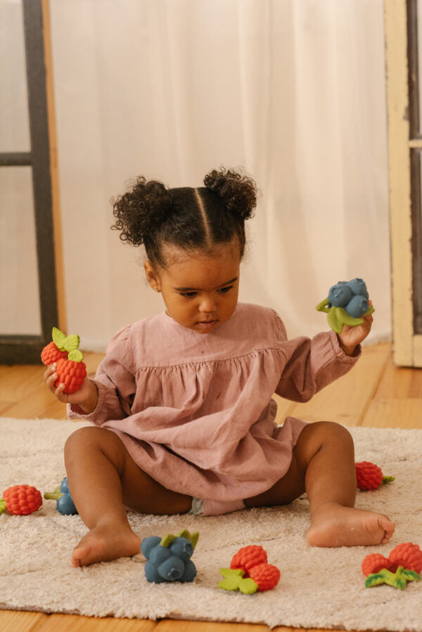 Produit Jerry La Myrtille Fan