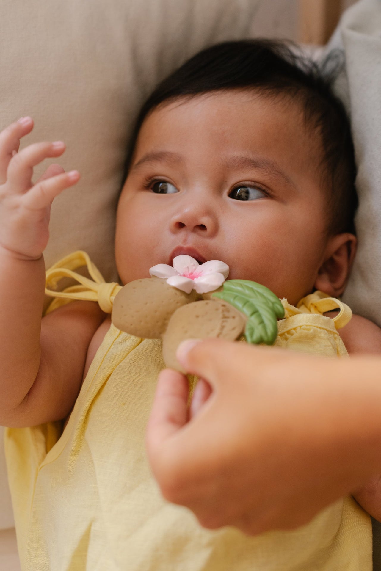 Produit Aly L’amande Maison