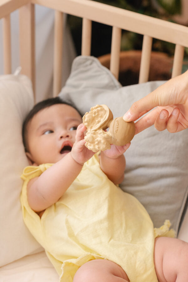 Produit Nutty La Noix Kawaii