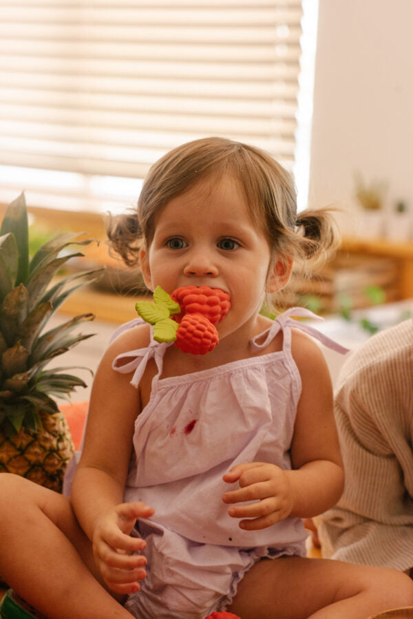 Produit Valery La Framboise Fan