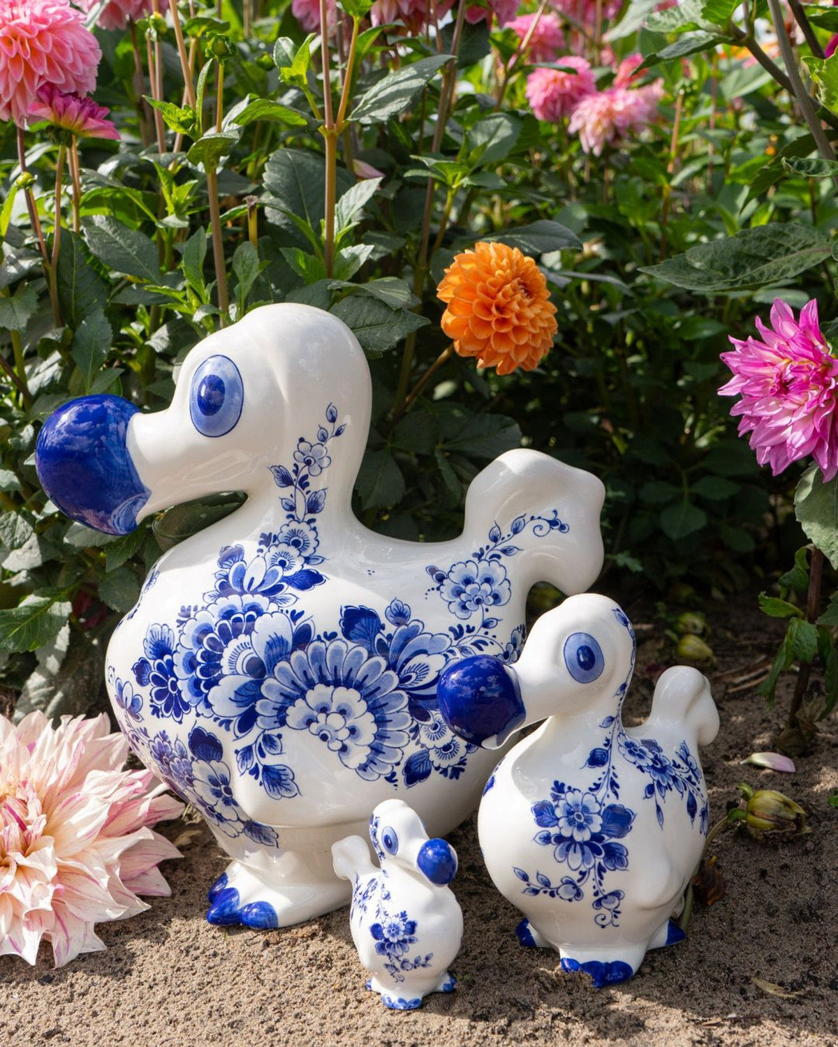 Le Dodo De Blauwe