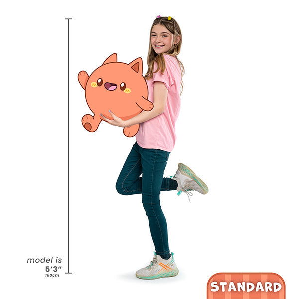 Standard Size Guide