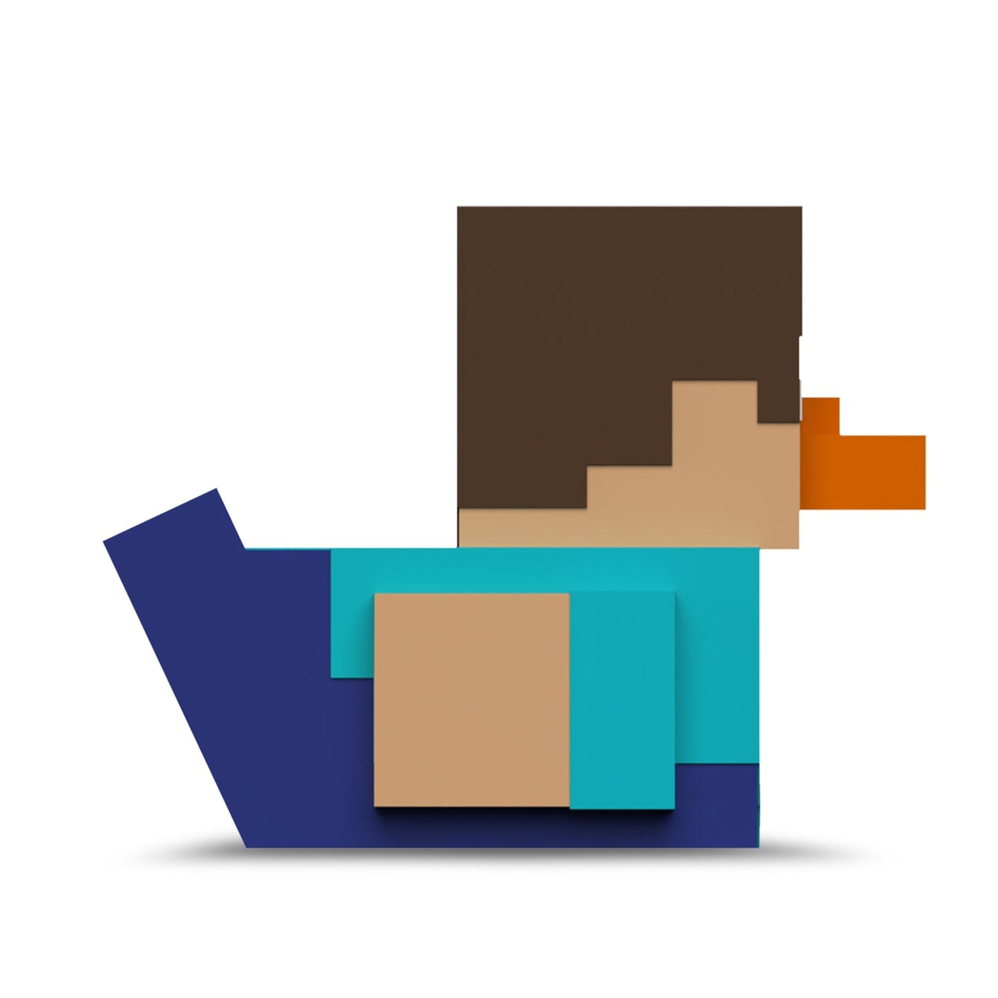 Canard Steve (First Edition) - vue 12