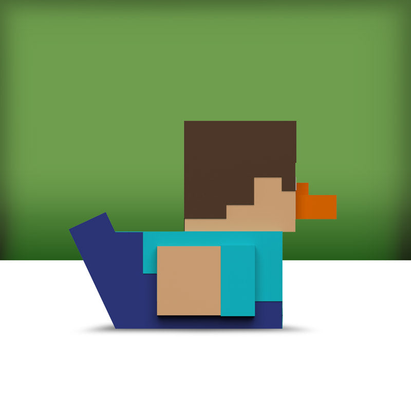 Canard Steve (Mini Edition) - vue 5