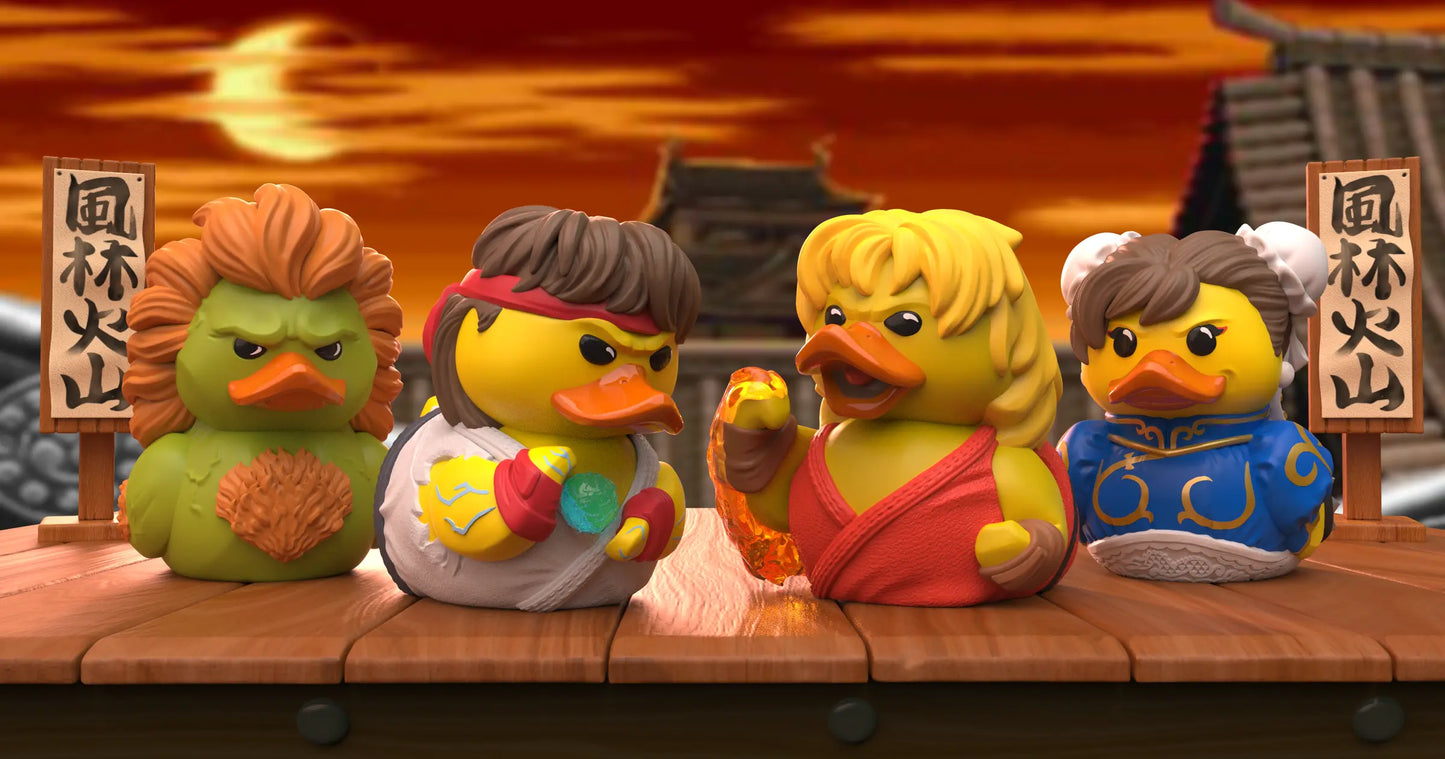 Canards Street Fighter TUBBZ | Cosplaying Ducks Numskull