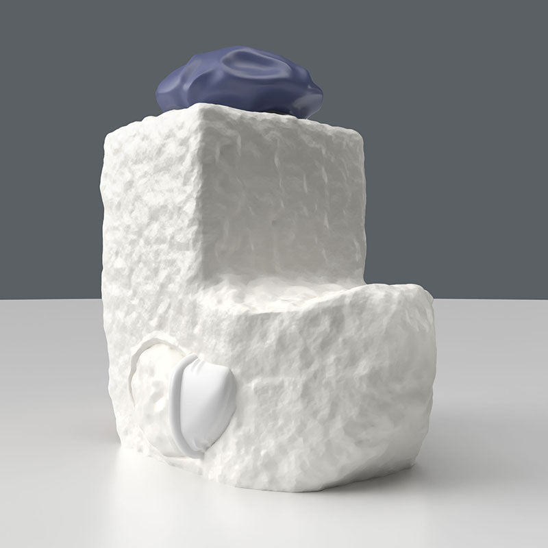 Canard Tofu (Mini Edition) - vue 4