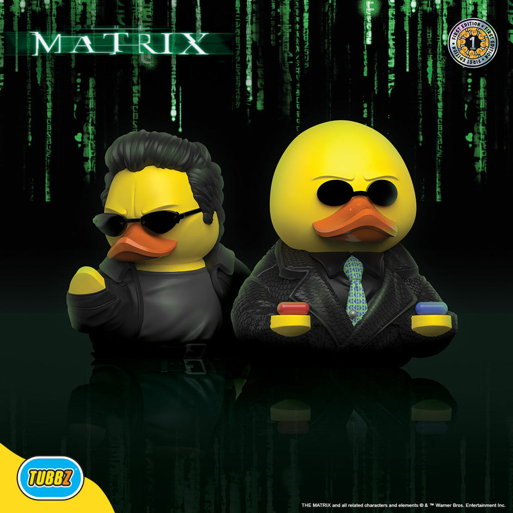 Canard Neo (First Edition) - vue 15