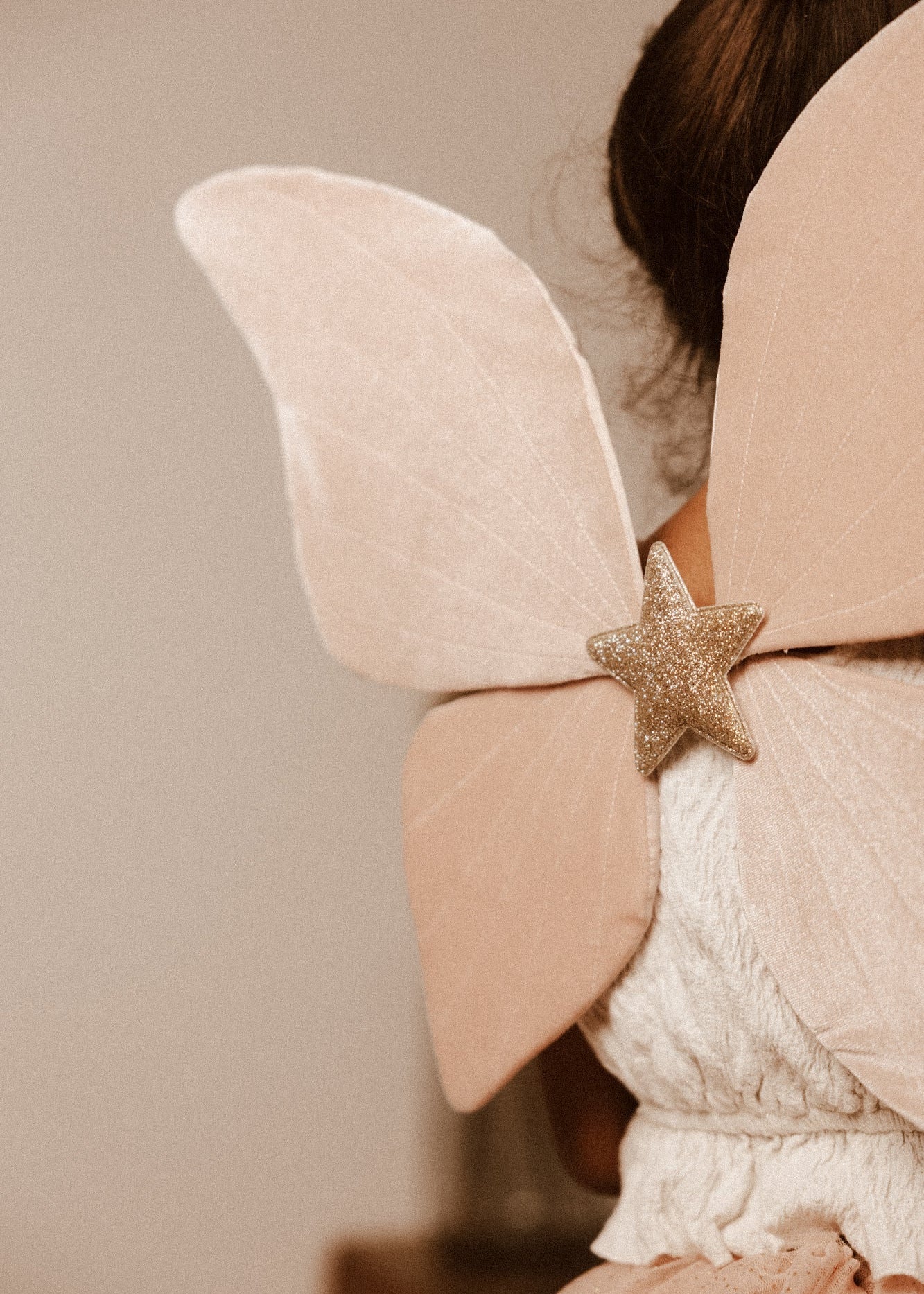 Déguisement Enfant Le Papillon Rose