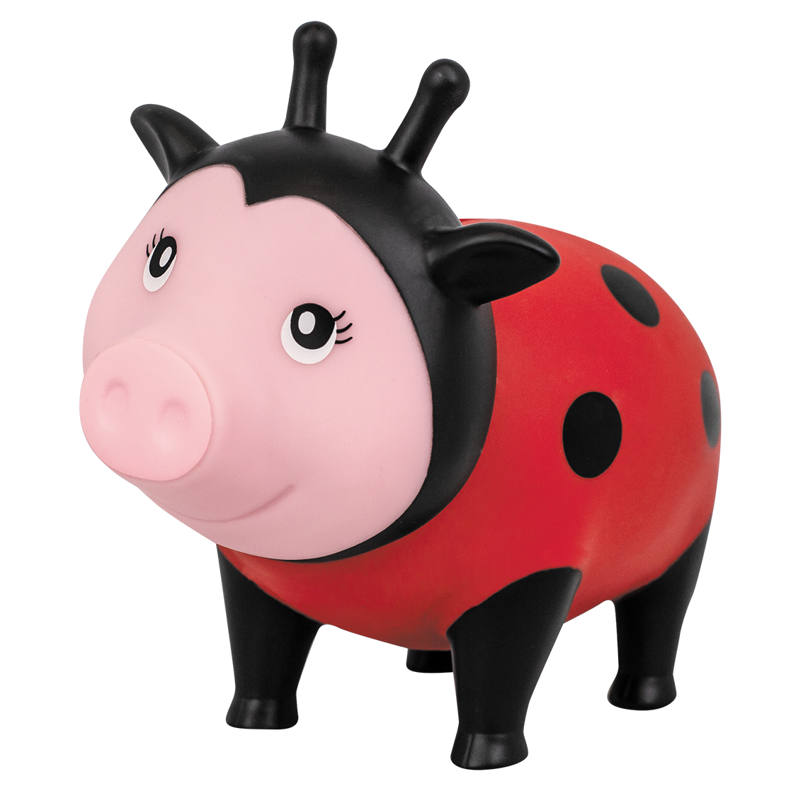 Schwein Marienkäfer