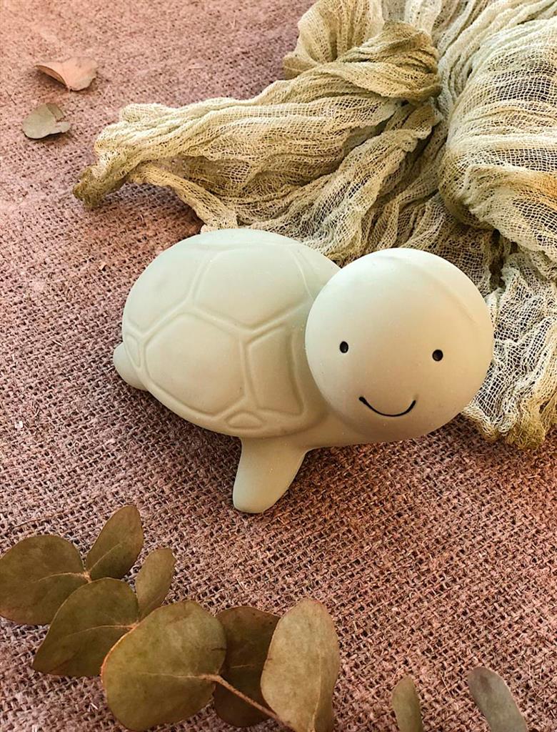 tortue de bain tikiri 