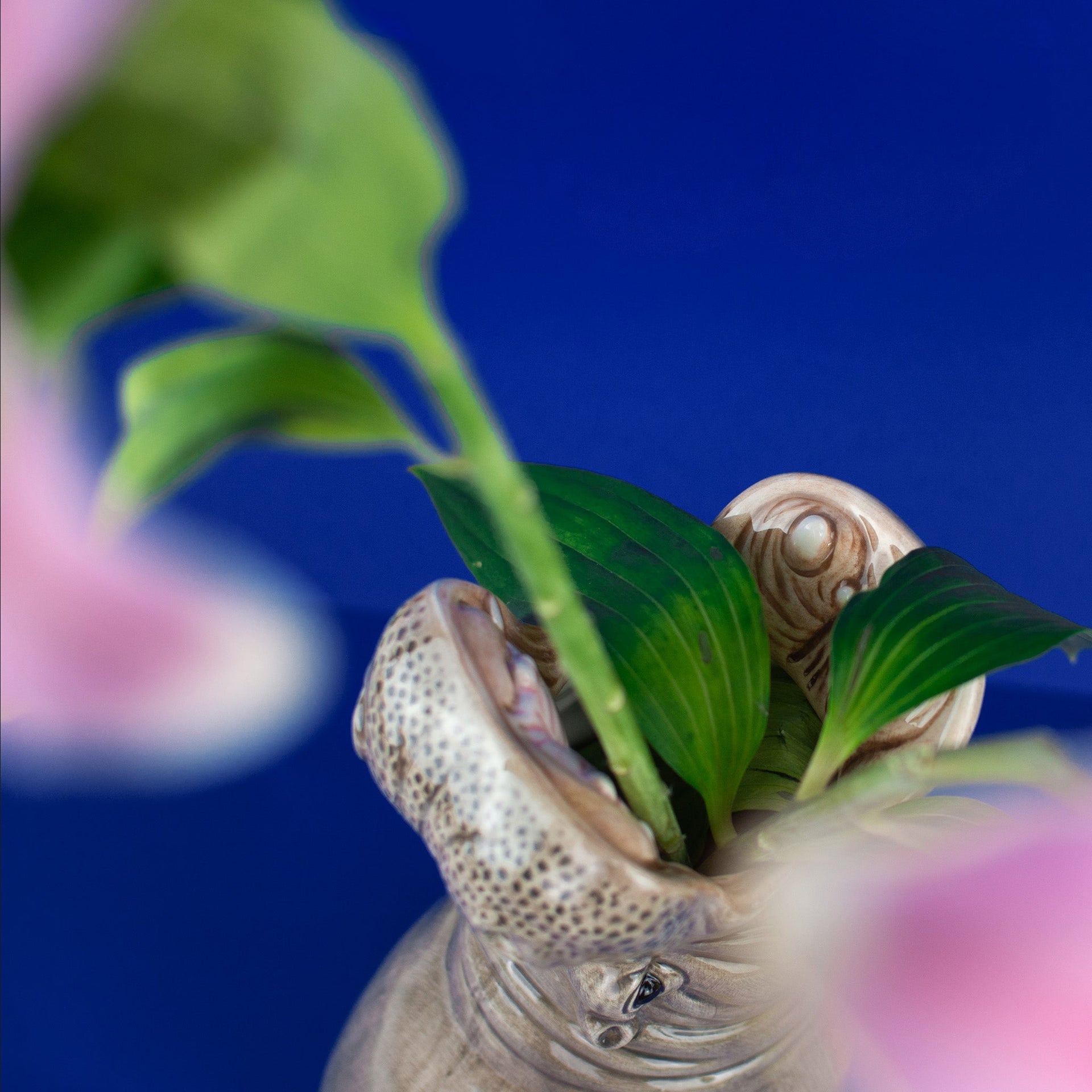 Flodhest Vase Sultne flodheste