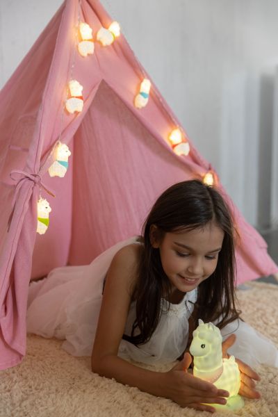 veilleuse lama dhink 