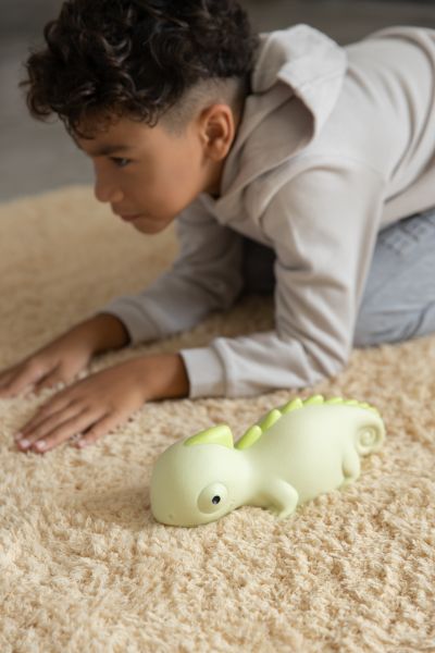 veilleuse cameleon rechargeable 