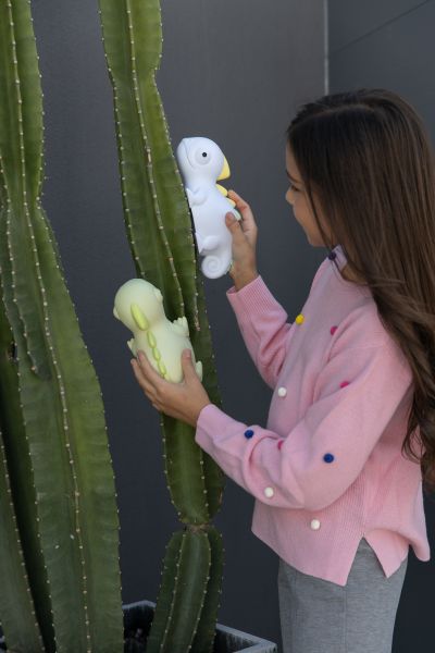 veilleuse cameleon dhink 