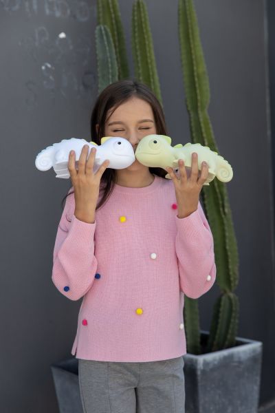 veilleuse cameleon dhink 