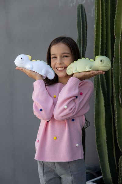 veilleuse cameleon rechargeable 