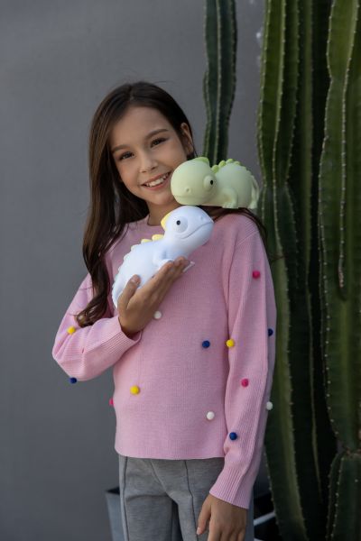 veilleuse cameleon rechargeable 