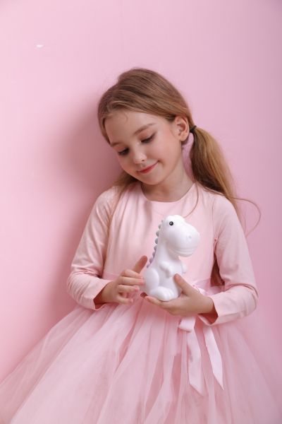 veilleuse dinosaure rechargeable dhink 
